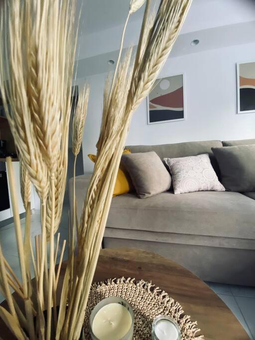 Barkon Apartment Janina Zewnętrze zdjęcie